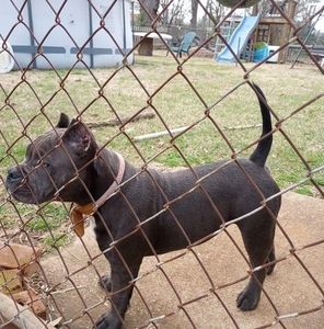 Meet your Posher, Phyllis